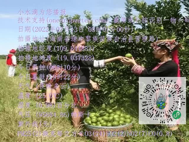 dcd69c1d88adf04ab89721dd53ac73c5.mp4