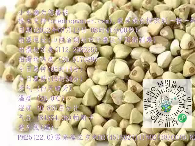 0.mp4