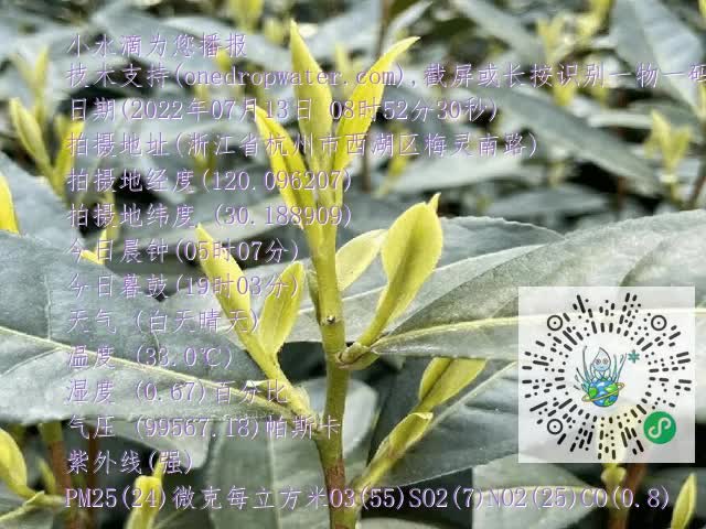 bcb53627134d4c6267f5e8555c504d40.mp4
