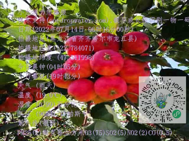 9e52d468dd5ff3824cf170518c89640c.mp4
