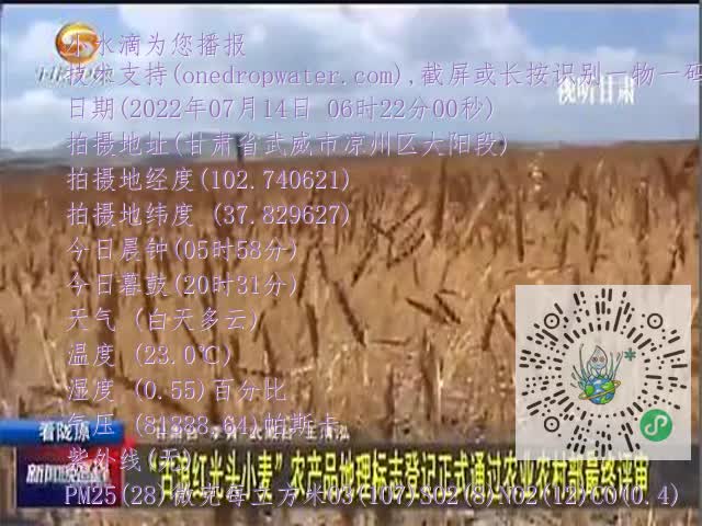 0.mp4