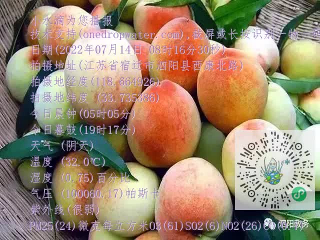 0.mp4