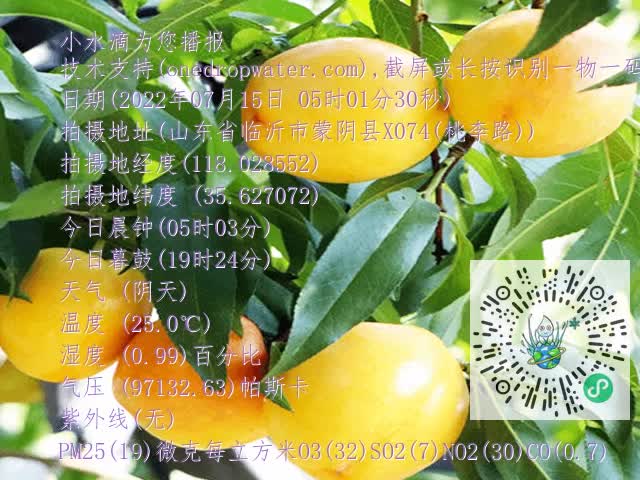 accf8854fa1eeb580fa5e72687844b29.mp4