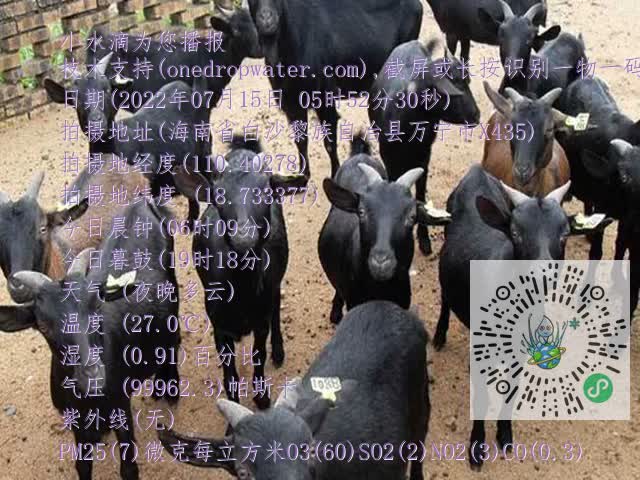 0df6b02a845ca5a6ab241ea637f45922.mp4