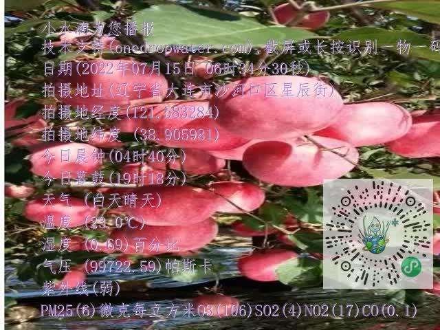 0.mp4