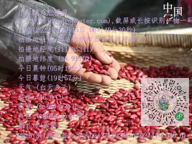 0.mp4