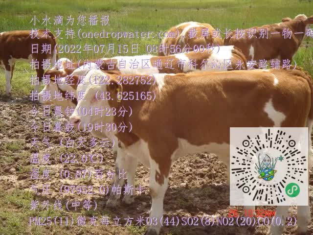 0.mp4