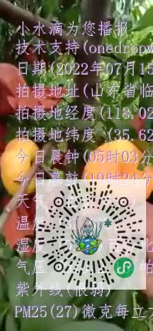 FgG3BS6h8x-V80h-Gfv324-zCA8omp4