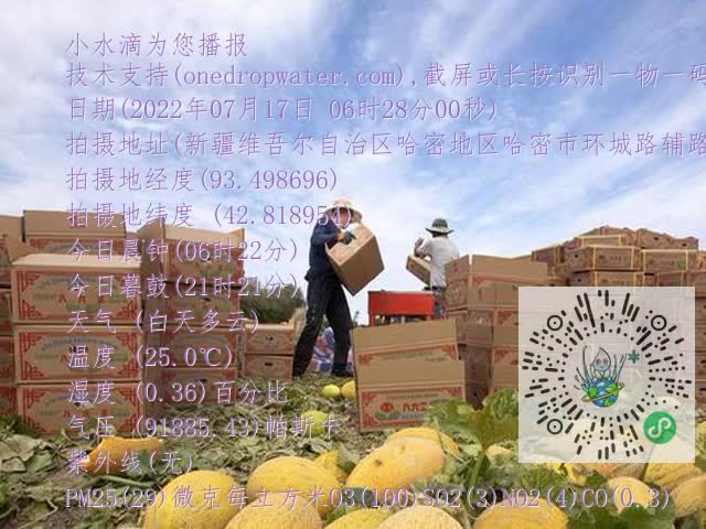 0.mp4