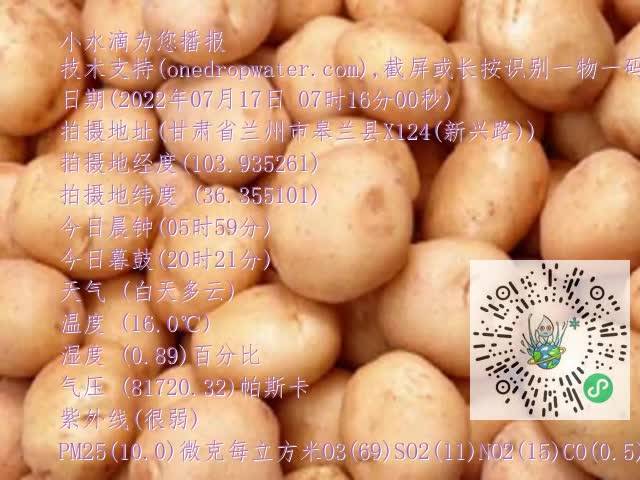 0.mp4
