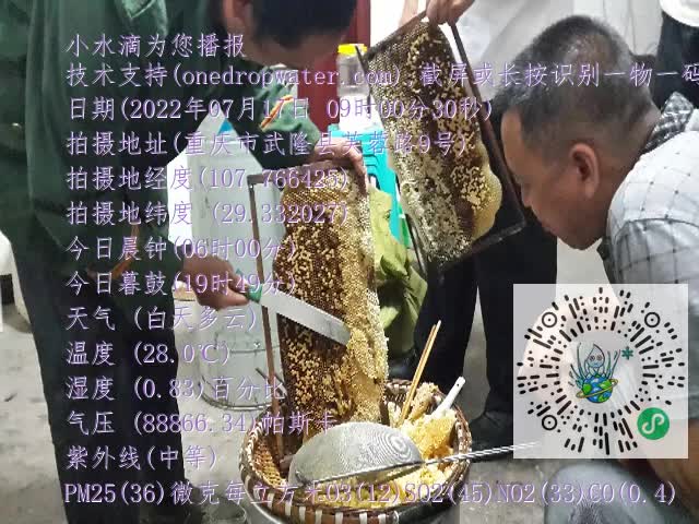 0.mp4