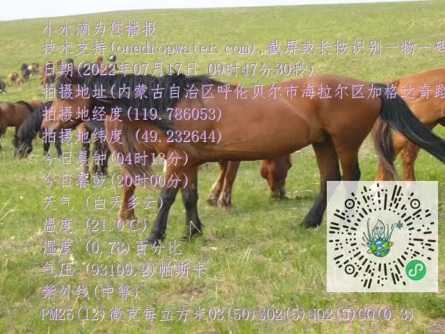 0.mp4