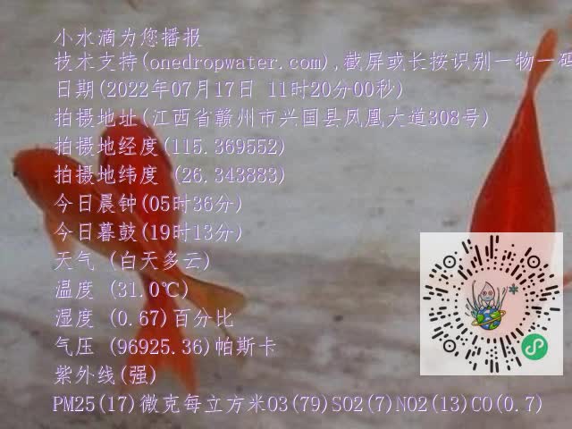 0.mp4