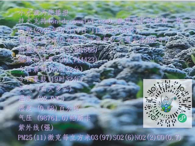 0.mp4