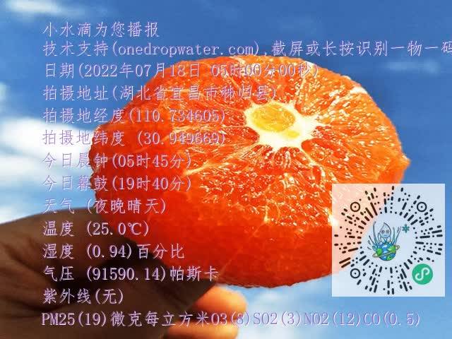2dd7c92454ed3c2c0b797e257031d008.mp4