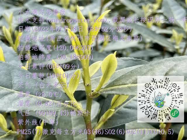 bcb53627134d4c6267f5e8555c504d40.mp4