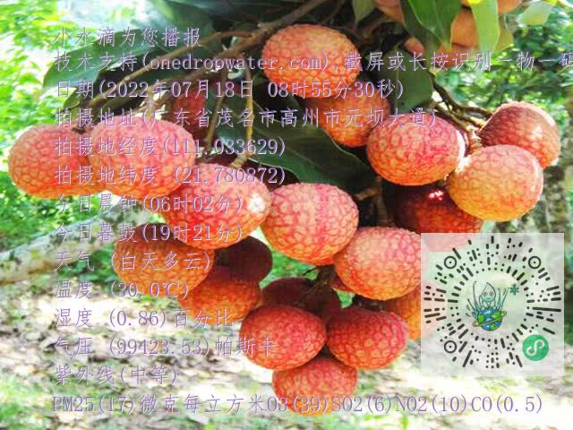 1759a5f74dc72080bc3ceb905bd71356.mp4