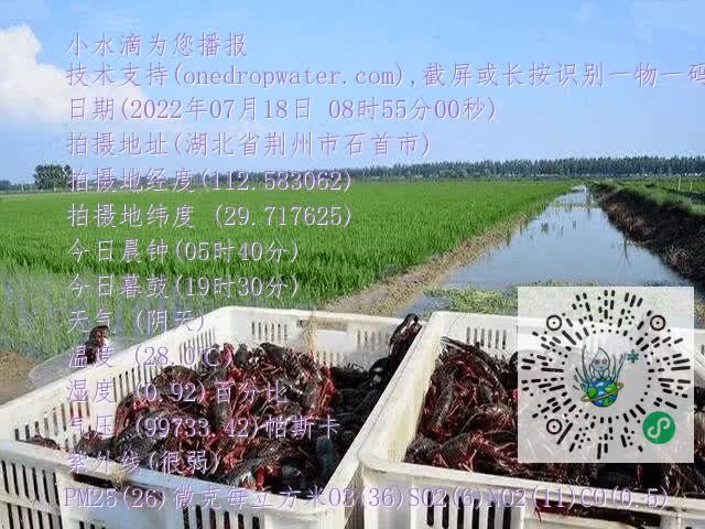 9c8b76a398c17587dc2fc48d5d266ed1.mp4