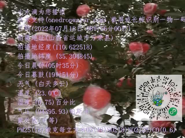 8cfd960e6b4a910dbb1d0699c1b1652b.mp4