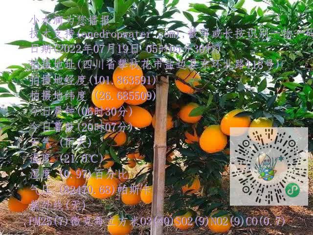 798093ca6c0a8be1c5d9a1179385bf1d.mp4