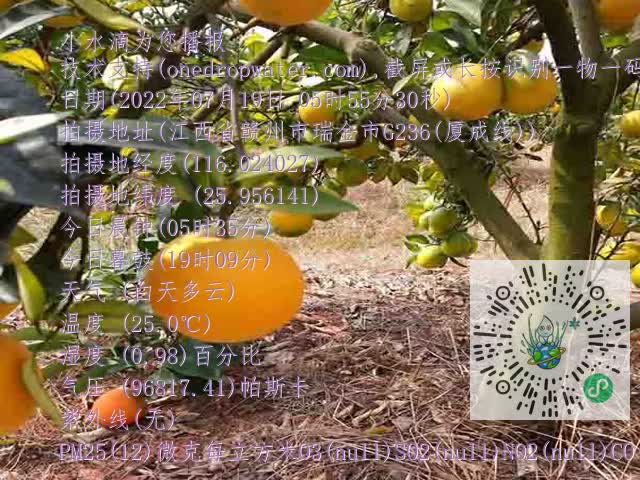 b9799b70a0fb44602c39408f71633394.mp4