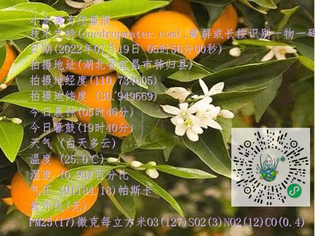 f1fac5e38601cdf40f959c1222e9362e.mp4