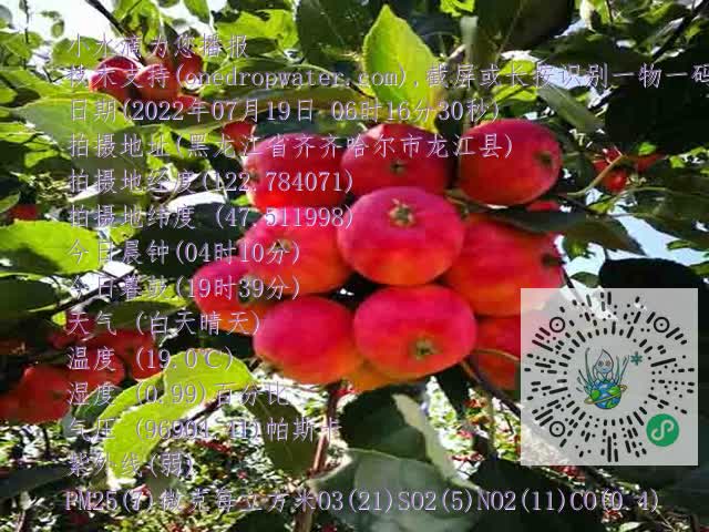 9e52d468dd5ff3824cf170518c89640c.mp4