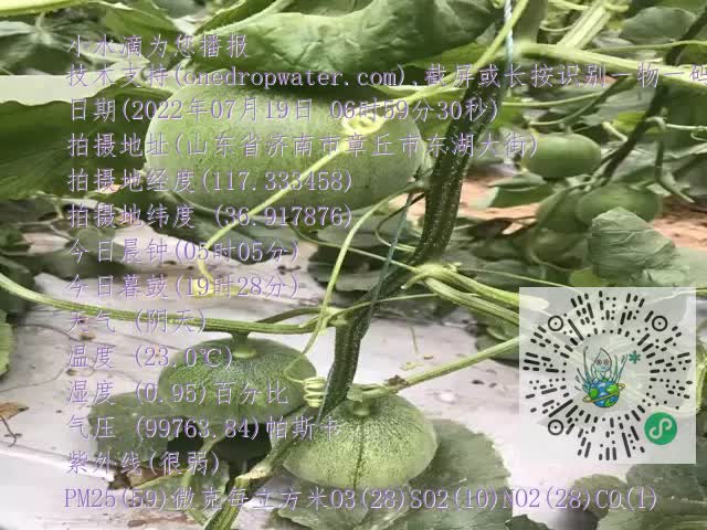 0.mp4