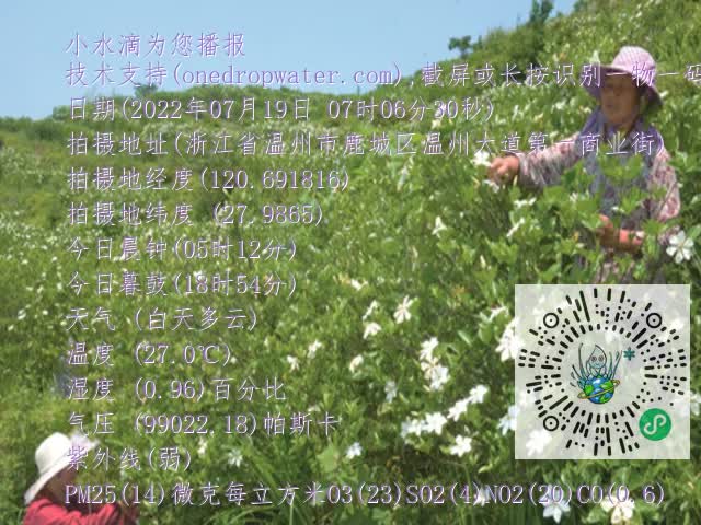 0.mp4