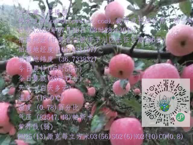 0.mp4
