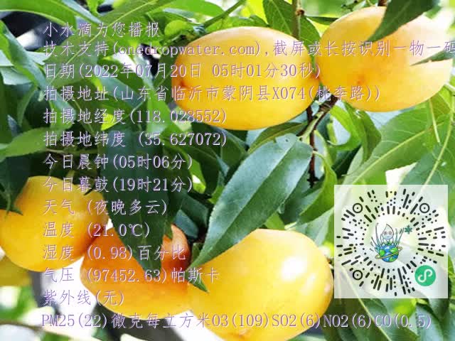 accf8854fa1eeb580fa5e72687844b29.mp4