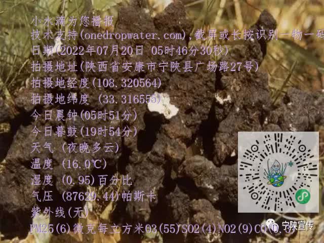 0.mp4