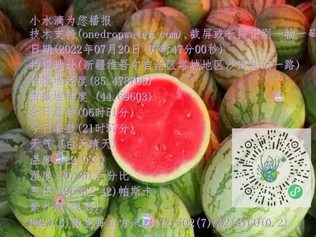 0.mp4