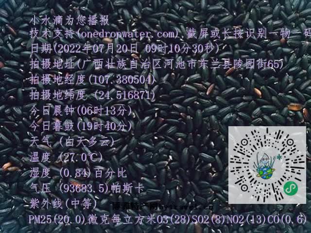 0.mp4