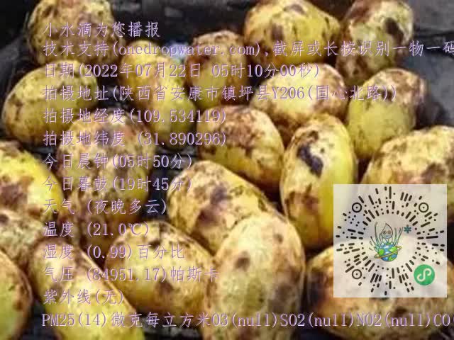 0.mp4