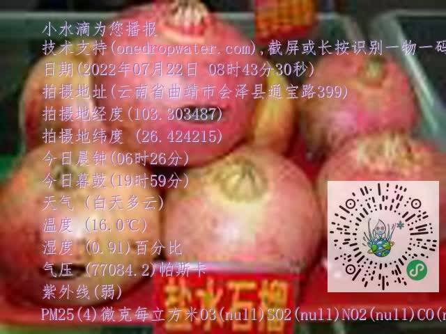 0.mp4