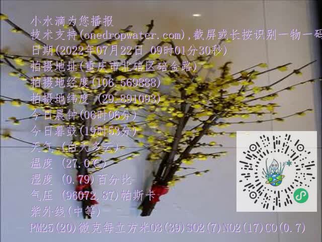 0.mp4