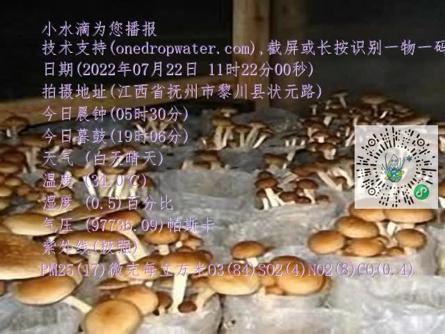 0.mp4