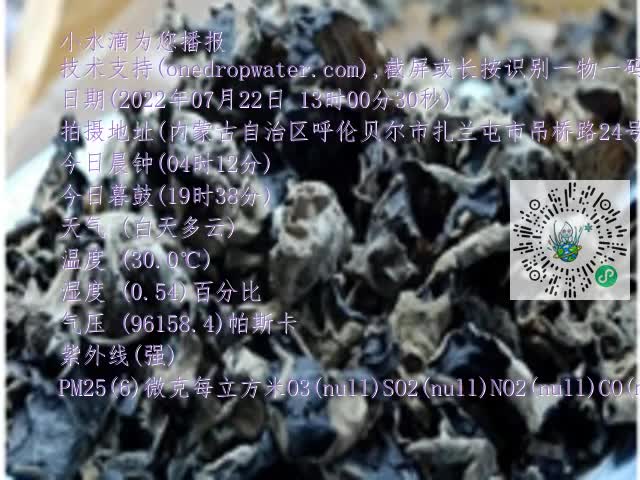 0.mp4