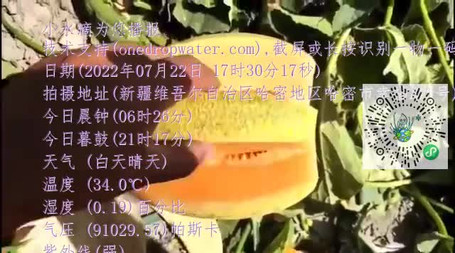 Fn_Y9G_nnmouA5B3CrLv2k4fW8Dcmp4