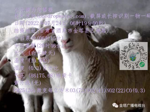 0.mp4