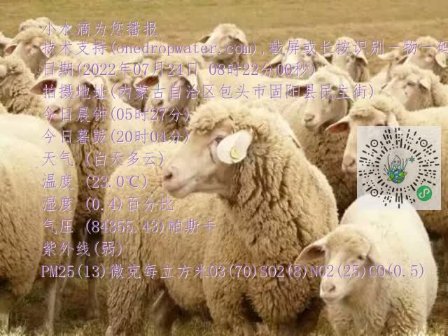 0.mp4