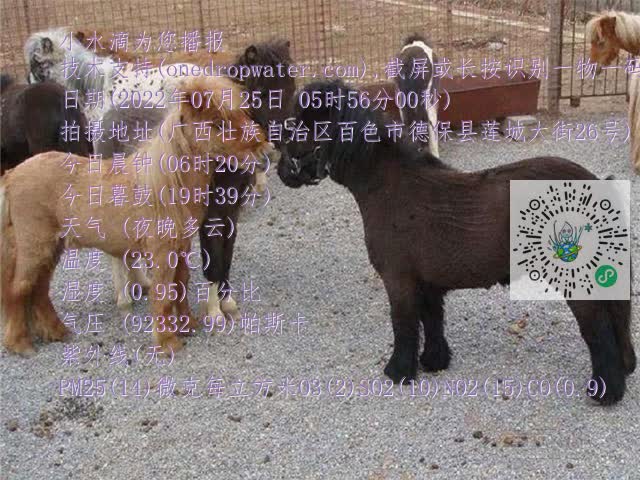0.mp4