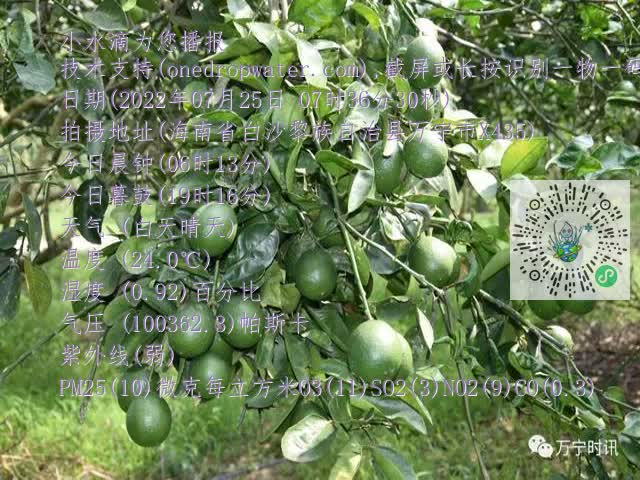 c4c0984f6b052c4d171b23f95c09463c.mp4