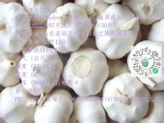 0.mp4