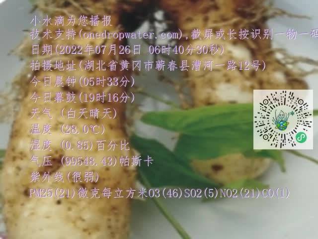 0.mp4