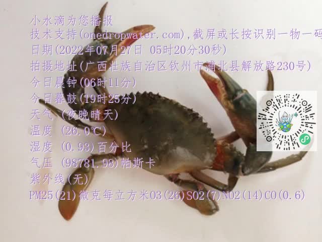 0.mp4