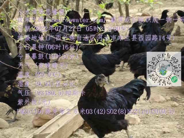 0.mp4