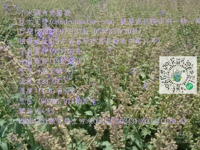 0.mp4