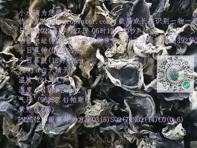 0.mp4